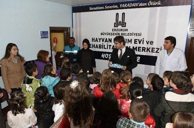 Büyükşehir Hayvan Bakımevi’nde Kış Hazırlıkları