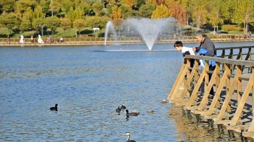 Başkentliler Pastırma Yazının Keyfini &Ccedil;ıkardı