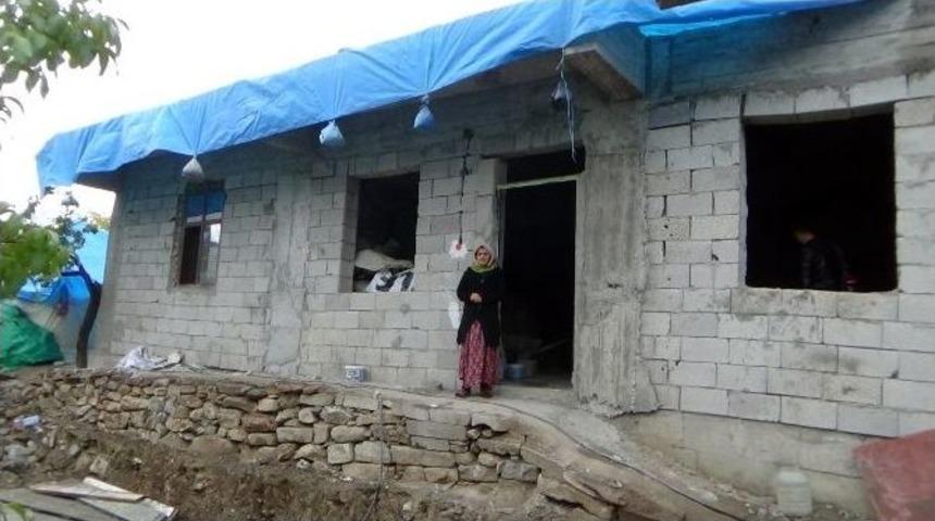 Bor Ailesinin Yaşam M&uuml;cadelesi