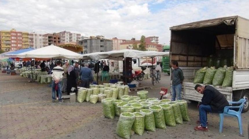 Mardin&rsquo;de Zeytin Pazarı Kuruldu