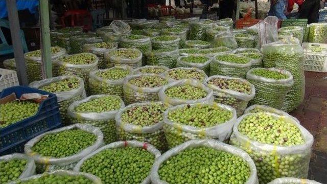 Mardin’de Zeytin Pazarı Kuruldu