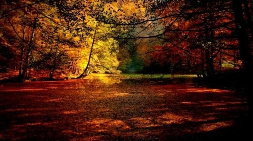 Yığılca &Uuml;zerinden Yedig&ouml;ller&rsquo;e Ziyaret&ccedil;i Akını