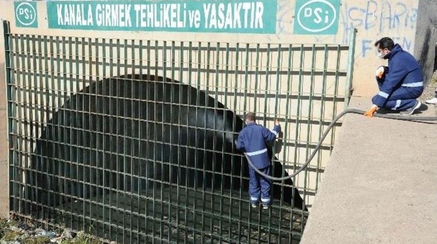 Sineklere Yönelik Mücadele Başladı