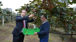 Ordu’da Kivi Şenliği