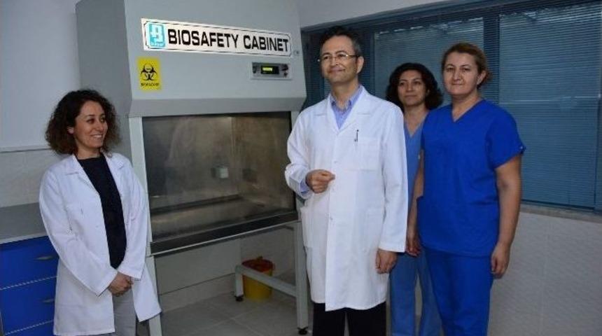 Kornea Naklinde Yeni Y&ouml;ntem