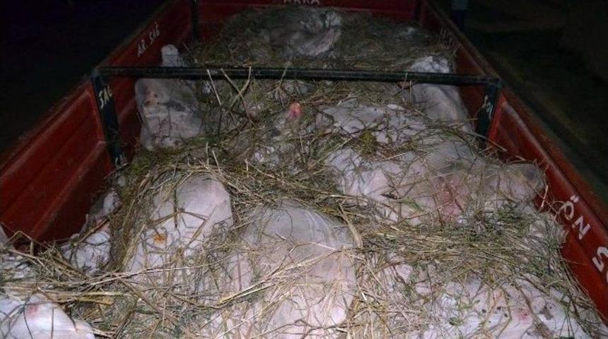 Jandarma Ka&ccedil;ak Ete &lsquo;dur&rsquo; Dedi