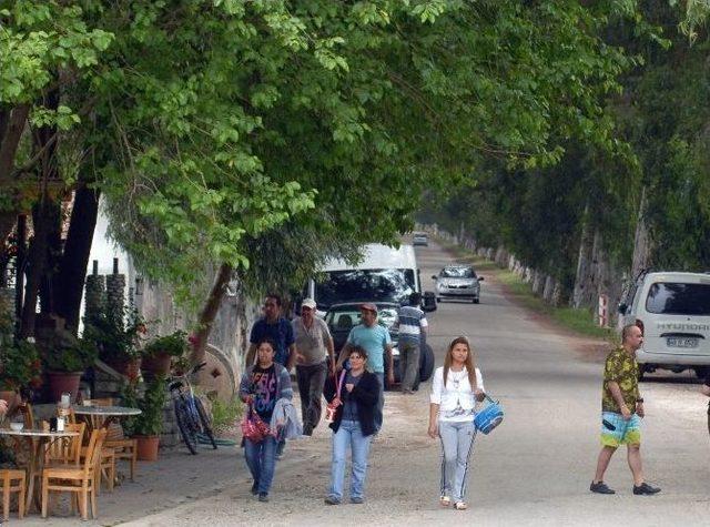 Akçapınar Aşıklar Yolunun Işıklandırılması İstendi