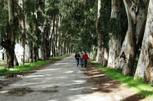 Akçapınar Aşıklar Yolunun Işıklandırılması İstendi