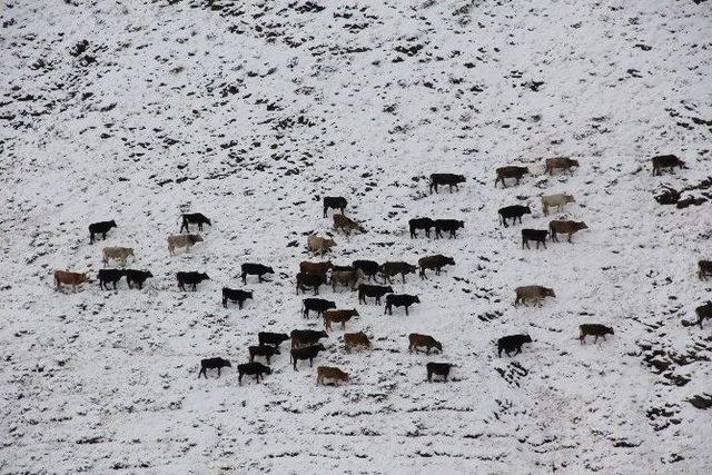 Doğu’da Kar Uyarısı 1