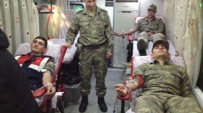 Ayvacık&rsquo;ta Rekor Kan Bağışı: 411 &Uuml;nite