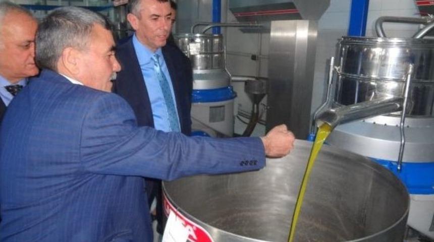 Kaymakam Sırmalı Tariş Edremit Tesislerini Ziyaret Etti