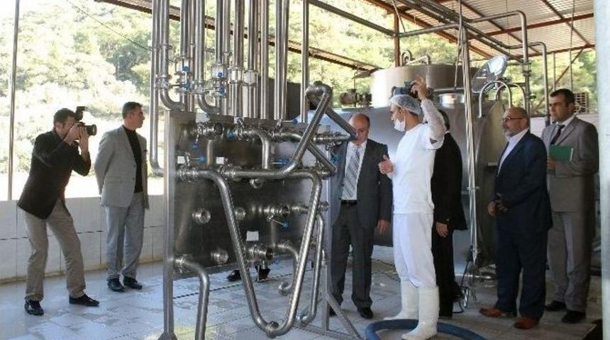 Vali &Ccedil;i&ccedil;ek: Yerli &Uuml;r&uuml;n Kullanın