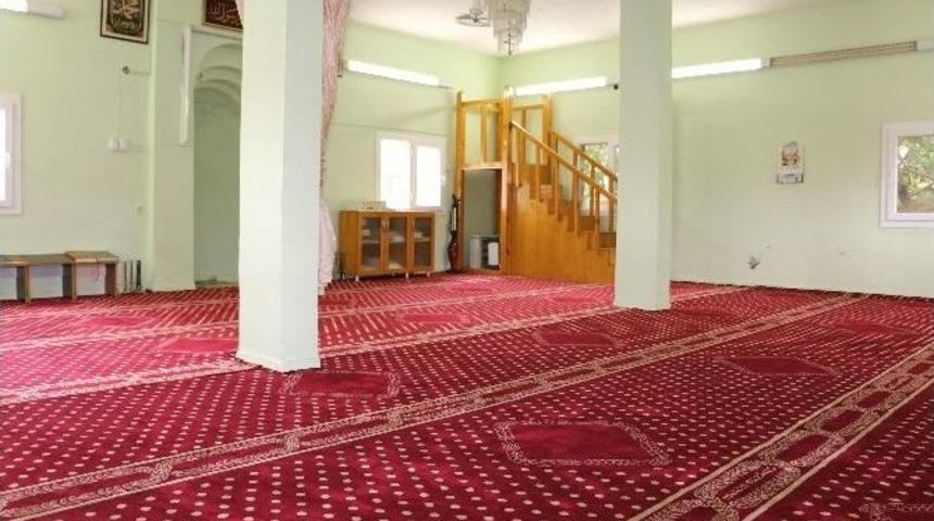 Haliliye Belediyesi&rsquo;nden Devasa K&uuml;lt&uuml;r Evi