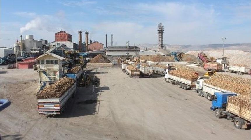 Pancar Nakliyesi En &Ccedil;ok Rağbet Edilen Taşımacılık Haline Geldi