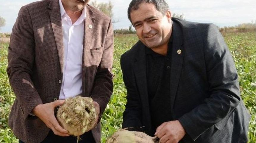 (&ouml;zel Haber) Pancar Kotası &Ccedil;ift&ccedil;iyi &Uuml;zd&uuml;