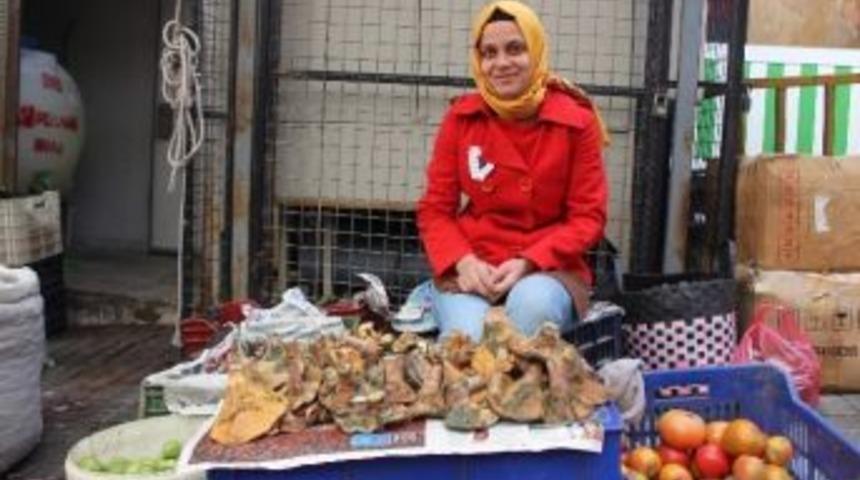 &Ccedil;ıntar Ge&ccedil;im Kapısı Oldu