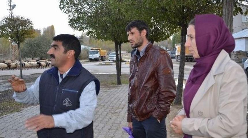 Erciş Belediyesi, Beşinci Park İ&ccedil;in Harekete Ge&ccedil;ti