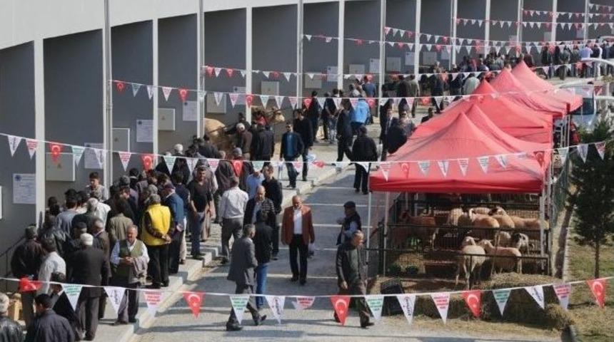 Anadolu Expo Canlı Hayvan Fuarında Satış Rekoru Kırıldı