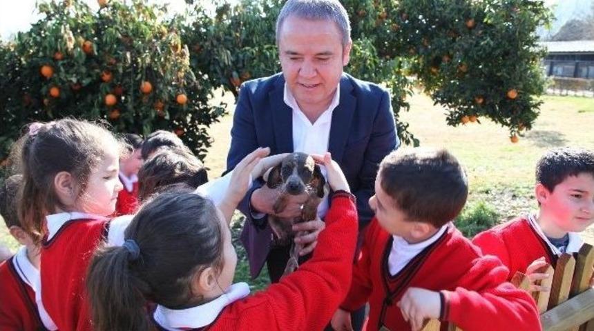 Konyaaltı Belediyesi &Ccedil;ocuk Kreşi, Hayvan Barınağını Ziyaret Etti