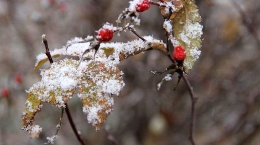 Ardahan&rsquo;da Kar Yağışı