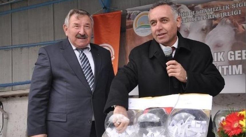 İhtal İnekler &Uuml;reticilere Teslim Edildi