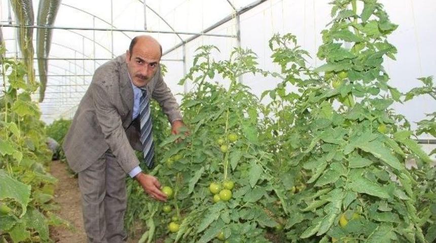 Oltu&rsquo;da Tarla G&uuml;n&uuml; Etkinliği
