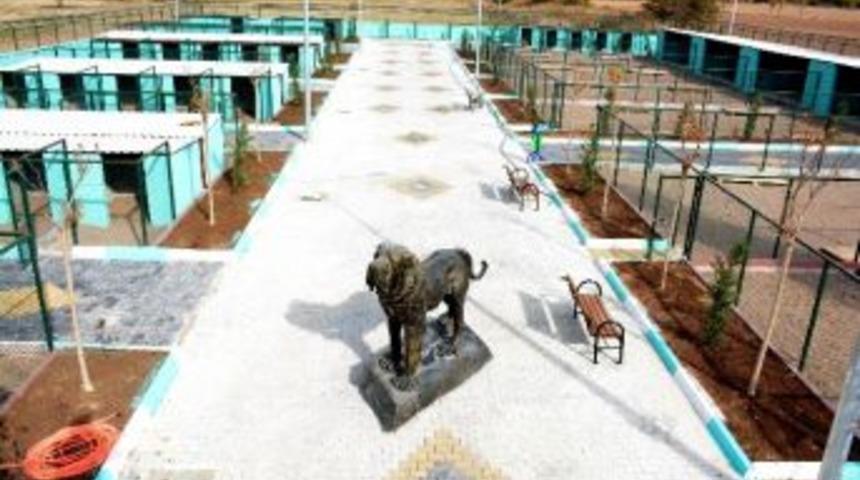 Aksaray&rsquo;da Hayvan Rehabilitasyon Merkezi Kuruldu