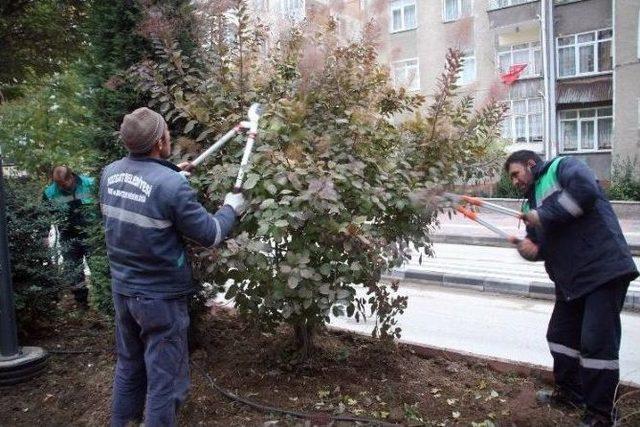 Vatandaşlardan Asgari Ücret Değerlendirmesi