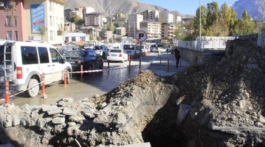 Vedaş&rsquo;tan Hummalı &Ccedil;alışma