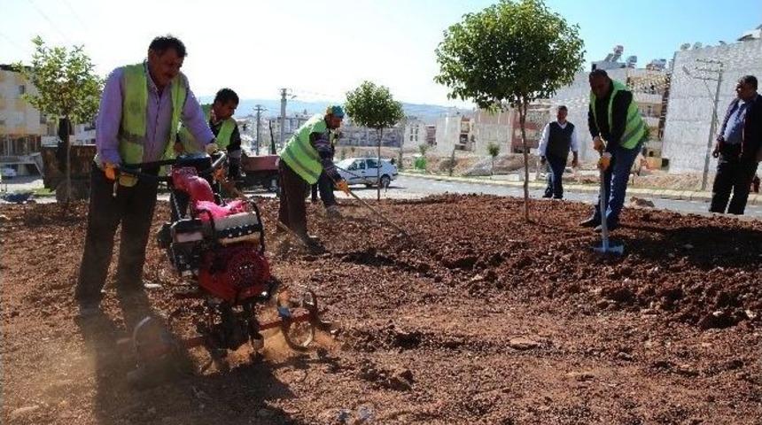 Haliliye Belediyesi&rsquo;nden &Ccedil;imleme &Ccedil;alışması
