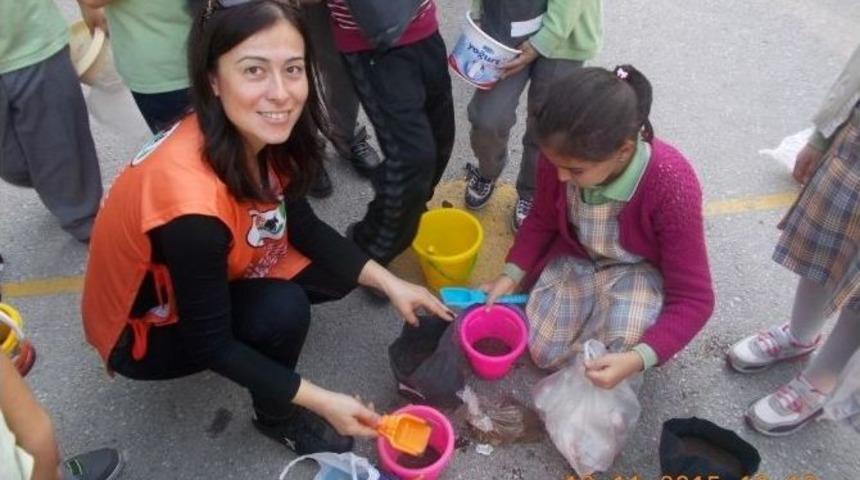 &Ouml;ğrenciler Fidanlık İ&ccedil;in Meşe Palamudu Dikti