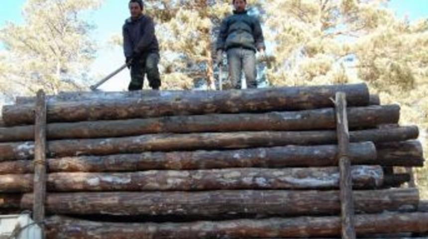 D&uuml;zce&rsquo;de Orman Emvali İhalesi Rekor Fiyatla Ger&ccedil;ekleştirildi