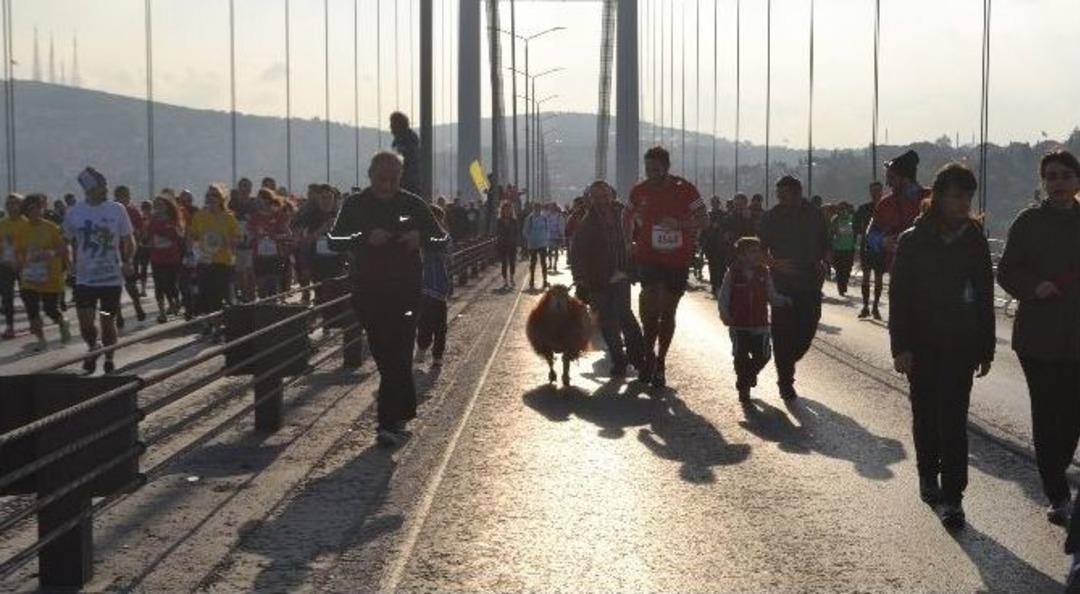 Kınalı Kuzusu İle Maratona Katıldı