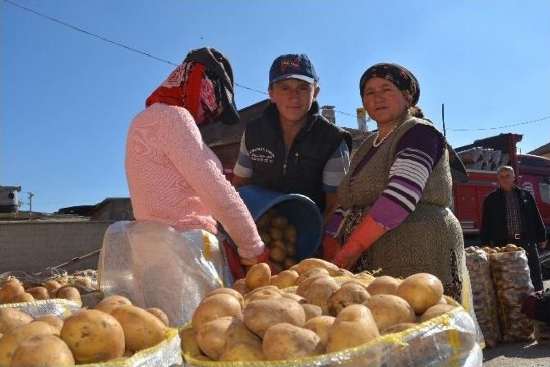 Niğde&rsquo;de Patatesin Bolluğu &Uuml;reticiyi Sevindirmedi
