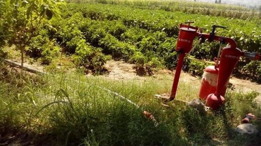 Kula Tarımında Bir İlk