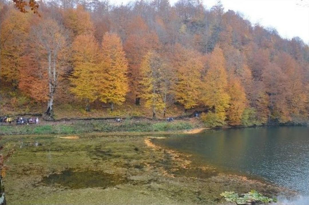 Dağcılar Doğa Y&uuml;r&uuml;y&uuml;ş&uuml;nde Buluştu