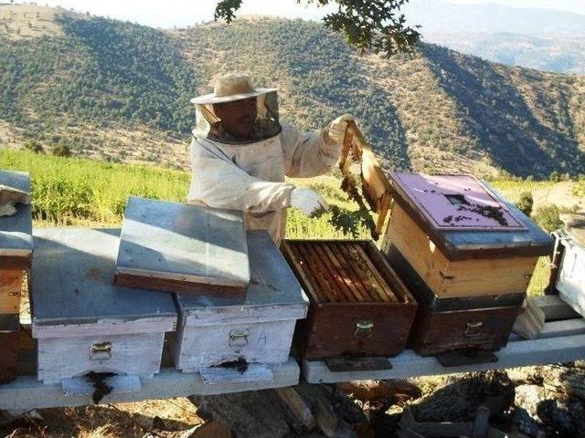 Çorum’a Arıcılık Ve Arı Ürünleri Uygulama Araştırma Merkezi Kuruluyor