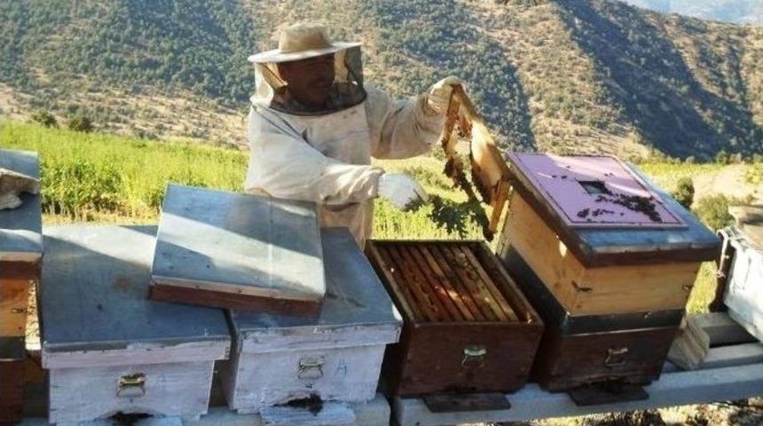 Birliklerden Rekt&ouml;r Alkan&rsquo;a Arıcılık Merkezi Teşekk&uuml;r&uuml;