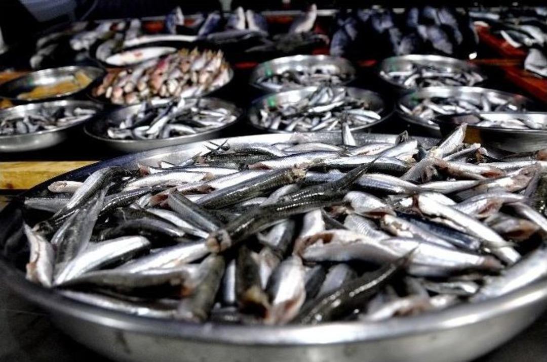 Hamsi Tava Yapmanın P&uuml;f Noktaları