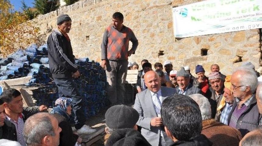 Sarıveliler&rsquo;de Kavak Ve S&ouml;ğ&uuml;t Ağa&ccedil;larının Kesimine Başlandı