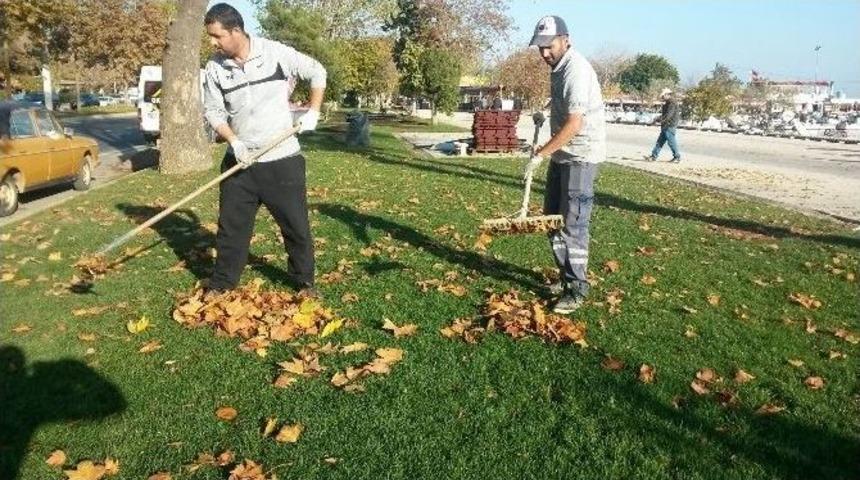 Tekirdağ B&uuml;y&uuml;kşehir Belediyesi&rsquo;nden Yaprak Operasyonu