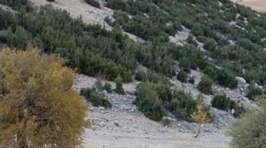 Trakt&ouml;r Şarampole Yuvarlandı: 1 &Ouml;l&uuml;