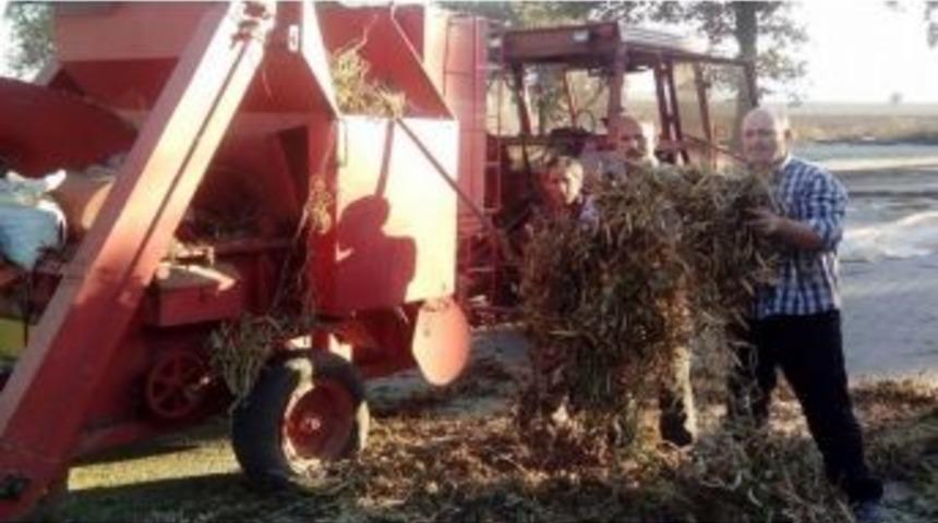 Sulu Tarım &Uuml;reticilerin Y&uuml;z&uuml;n&uuml; G&uuml;ld&uuml;rd&uuml;