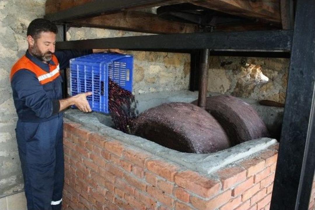 Doğanın İksiri Zeytin S&uuml;t&uuml;