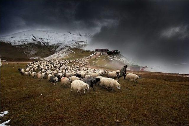 Gümüşhane Belediyesi’nin Fotoğraf Yarışması Sonuçlandı