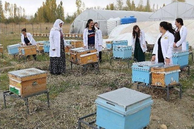 Kadınların Ürettiği ’tuşbal’ Marka Olma Yolunda