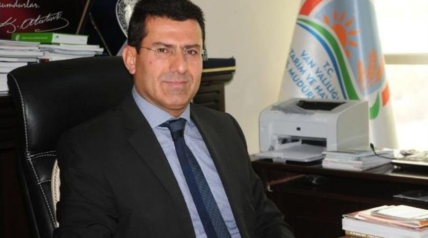 Dap&rsquo;tan Van&rsquo;ın 51 Yerleşim Yerine 480 Sıvat Yapıldı