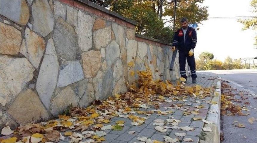 Başiskele’ye Sonbahar Bakımı