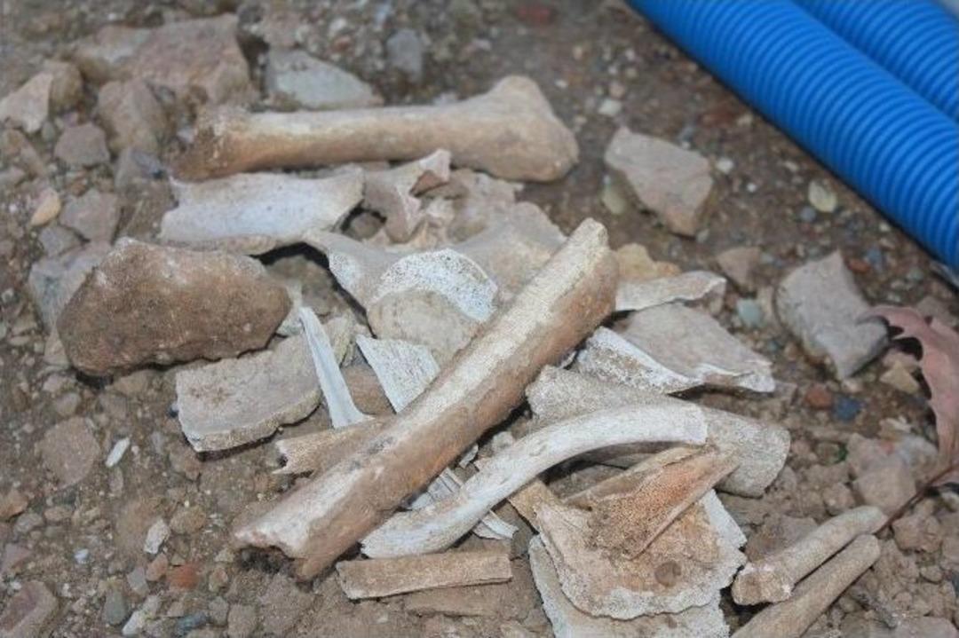 Taksim Yayalaştırma Projesindeki Kazı &Ccedil;alışmalarında Kemik Bulundu