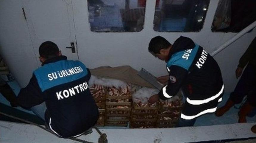 Kırklareli&rsquo;de Karaya &Ccedil;ıkış Noktası Denetimleri